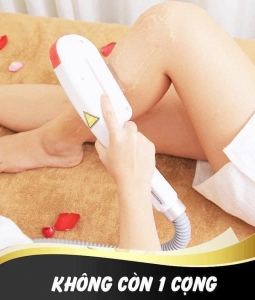 TRIỆT LÔNG VĨNH VIỄN