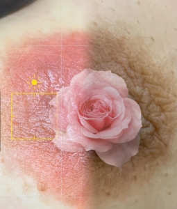 LÀM HỒNG NHŨ HOA